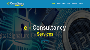 e - Consultancy